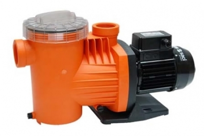 Saci Winner Pompalar